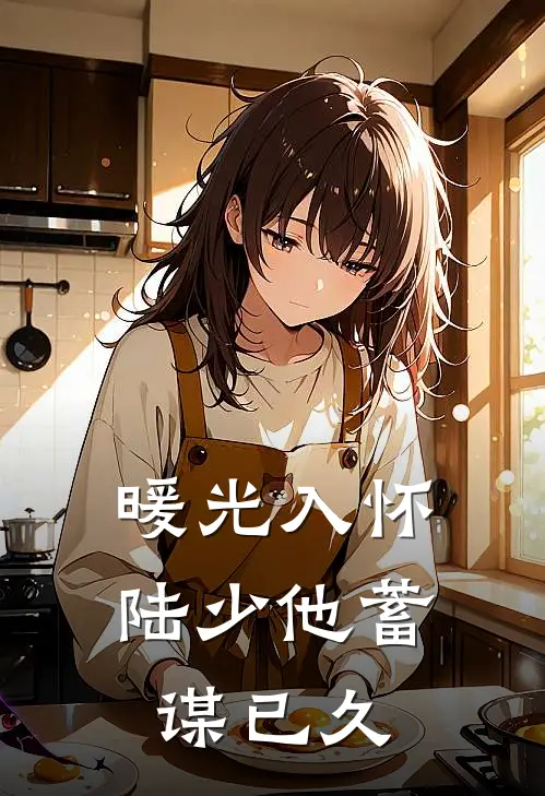 暖光入怀：陆少他蓄谋已久