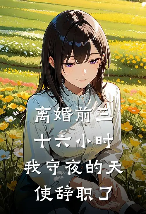 离婚前三十六小时，我守夜的天使辞职了